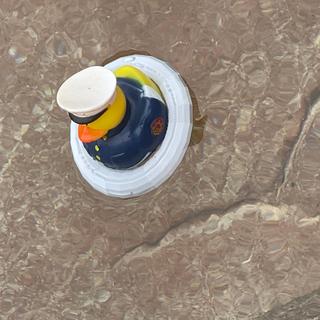 With 3D printed buoy