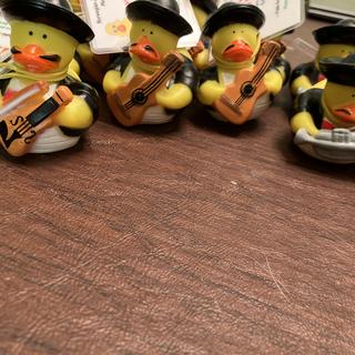 Mariachi ducks
