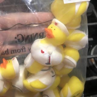 Quack Quack!