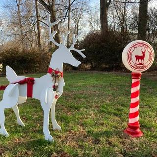 reindeer parking 1