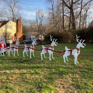 reindeer parking 2