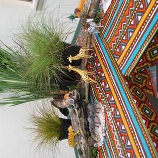 Customer Image