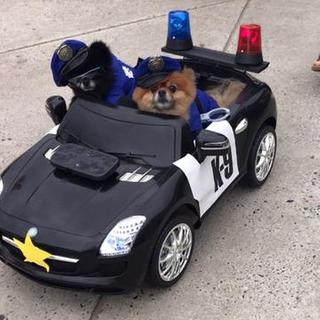 Customer Image