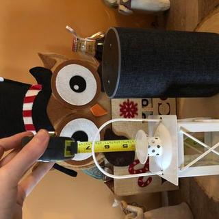 Customer Image