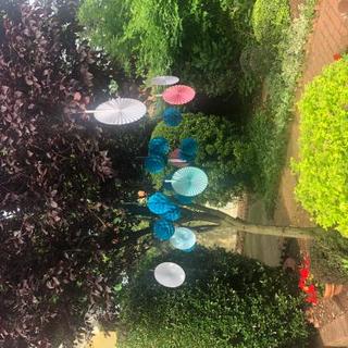 Customer Image
