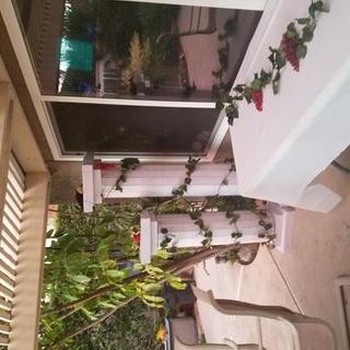 Customer Image