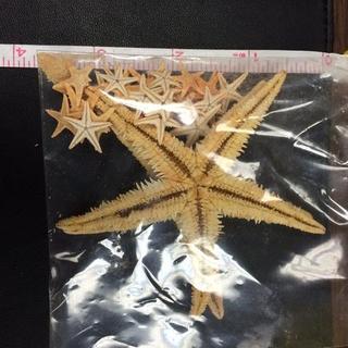 Customer Image