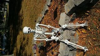 Customer Image