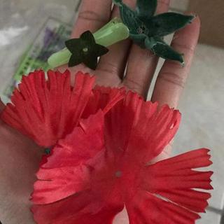 Customer Image
