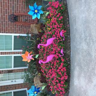 Customer Image