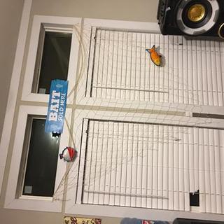 Customer Image