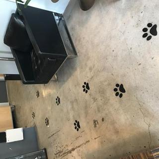 Customer Image