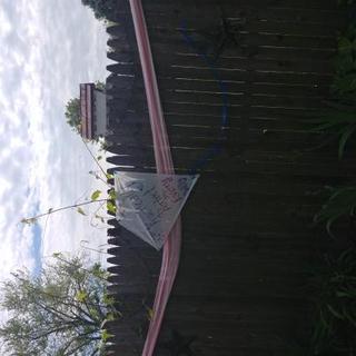 Customer Image