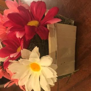Customer Image