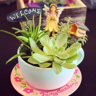 Customer Image