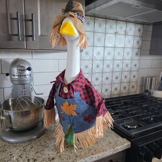 Submitted by Tracy S