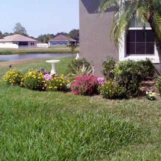 Submitted by Kimberly R