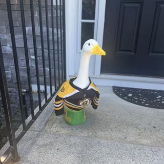 Submitted by Kaitlyn P