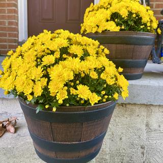 Submitted by KATHRYN D