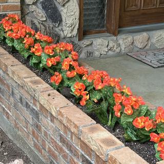 Submitted by KAREN E