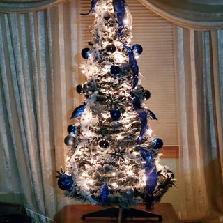 Submitted by Lynette H