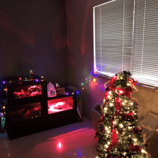 Submitted by Jennifer S