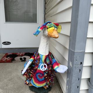 Submitted by Danielle C