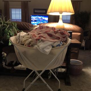Submitted by Pam A