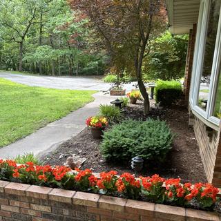 Submitted by KAREN E