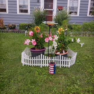 Submitted by Wendy J