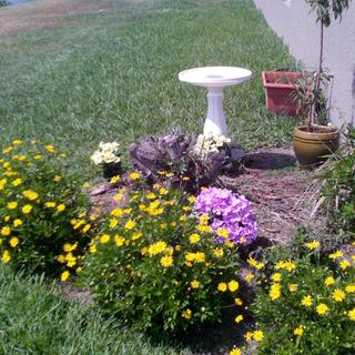 Submitted by Kimberly R