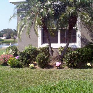 Submitted by Kimberly R