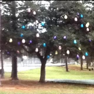Submitted by Town volunteer.