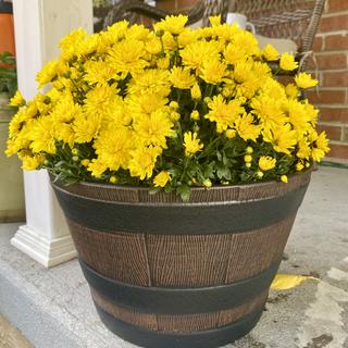 Submitted by KATHRYN D