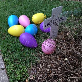 Submitted by Carolyn K