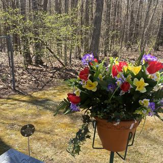 Submitted by Nancy C