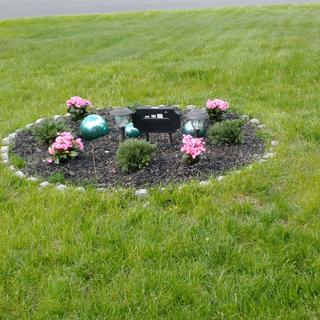 Submitted by JOHNNY P