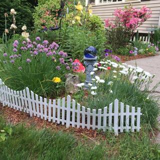 Submitted by CINDY B