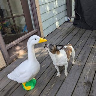 Submitted by DIANA O