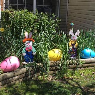 Submitted by Wanda P