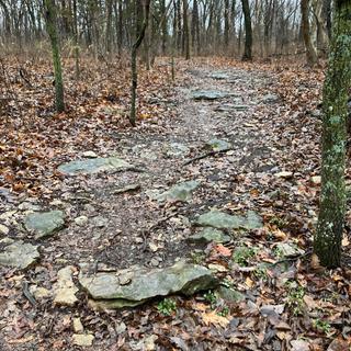 Übermittelt von Eric_the_Eric