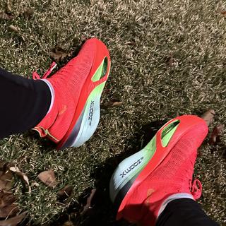 Submitted by l.davone