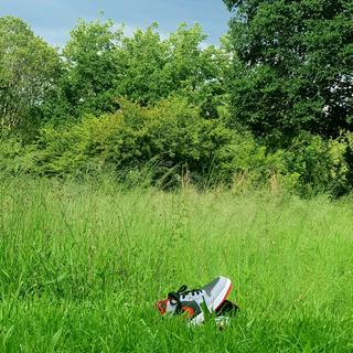 Submitted by DexterD575238253