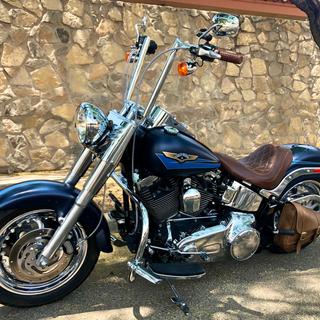 Wild 1 Inc. Chrome 14 in. Hooked Chubbys 1 1/4 in. Handlebar