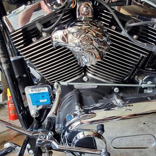 Harley Horn Covers Flaming Skull – Chrome Dome Motorcycle Products