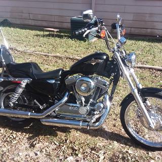 Le Pera ラペラ チェロキーシート スポーツスター Le Pera CHEROKEE