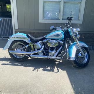 Kuryakyn Swingarm Cover Set with Unlighted Phantom Covers