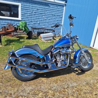 Freedom Performance Chrome Sharktail Upsweeps Exhaust System