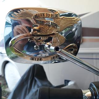 Drag Specialties Gold Live to Ride Custom Mirrors - 0640-0476