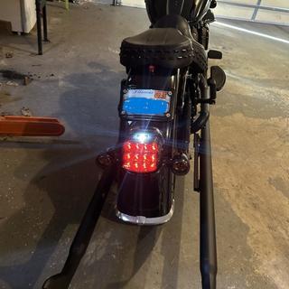 HogWorkz Smoked Xtreme LED Taillight w/Plate Light - HW307021 for